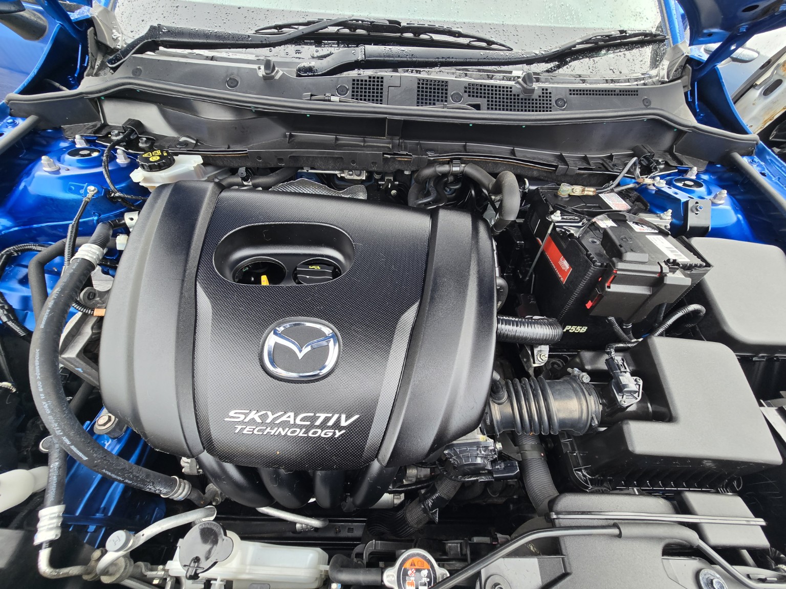 2016 Mazda2 Automatic Blue Hatchback for sale in Capalaba Brisbane – photo 5